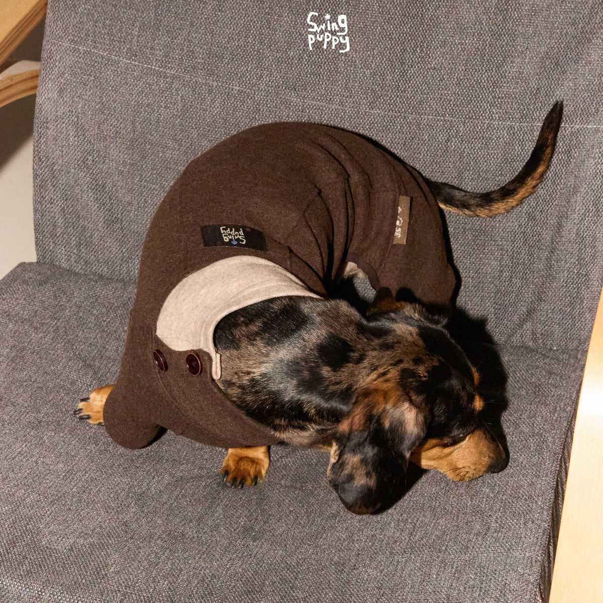 Overhead view of a brown dachshund bodysuit with a pale pink collar.
