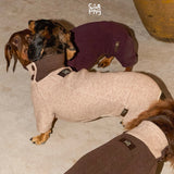 Dachshunds modeling pink, plum and brown four-leg bodysuits.