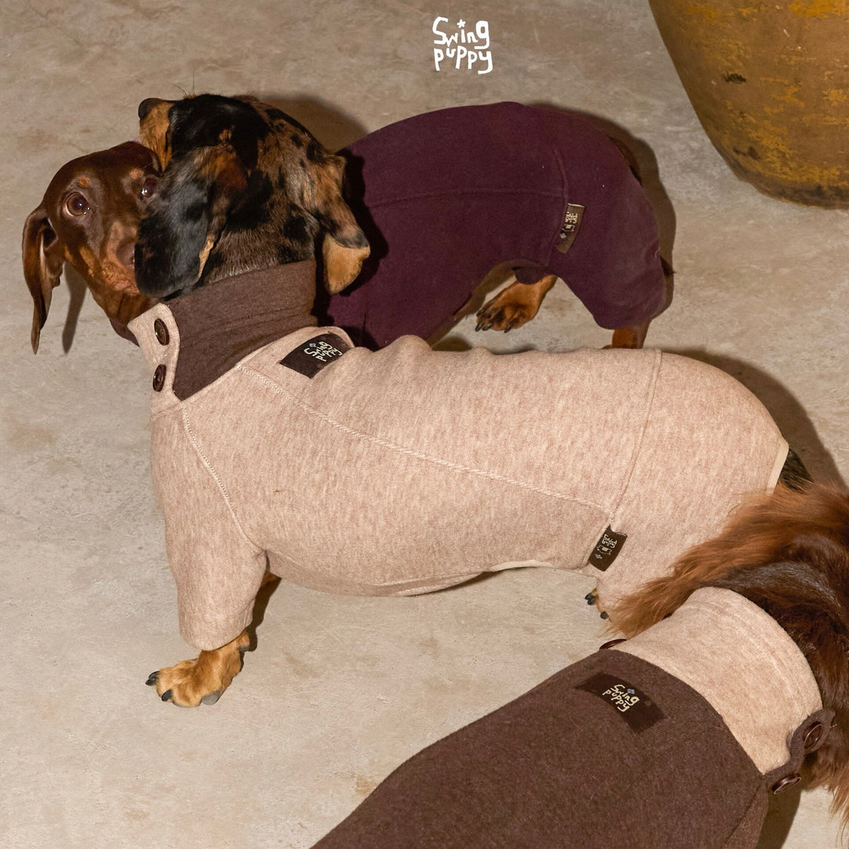 Dachshunds modeling pink, plum and brown four-leg bodysuits.