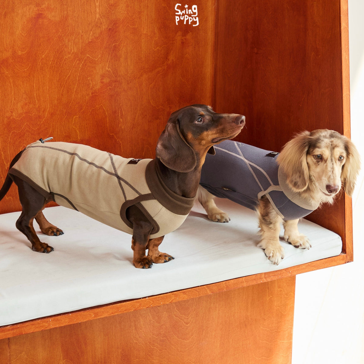 Cloudlull Airlight | Sleeveless Four-Leg Dog Base Layer