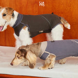 Dogs wearing charcoal and gray-purple bodysuits with contrasting seams.