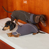 Dachshunds wearing charcoal and purple-gray sleeveless bodysuits.