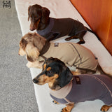 Overhead view of dark gray, tan and purple dog bodysuits.