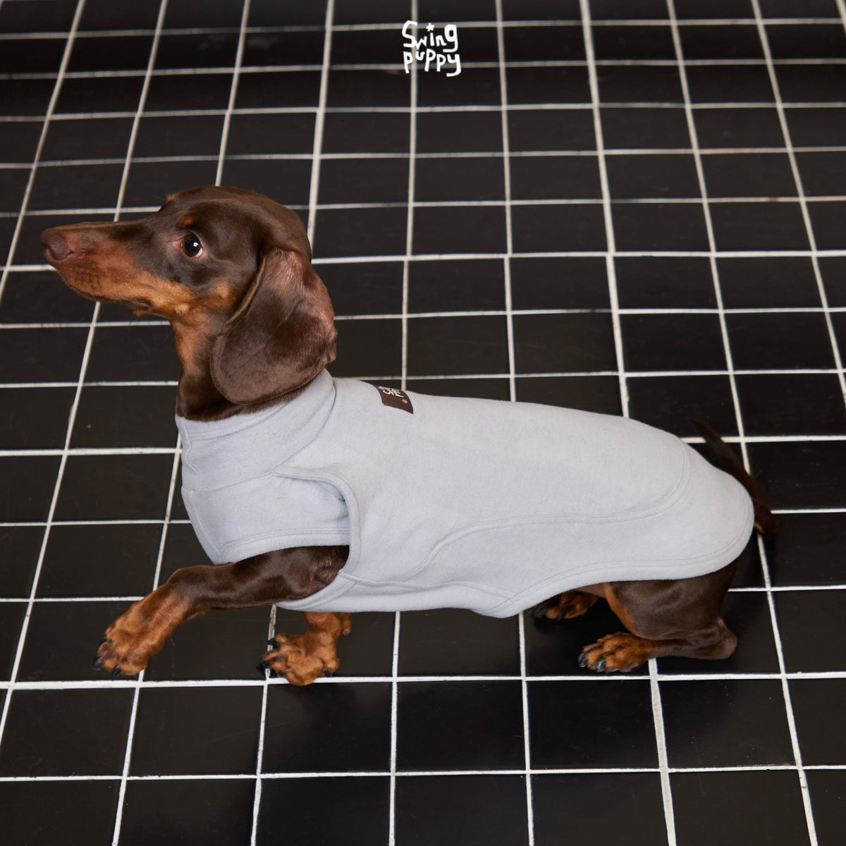 Side view of a gray sleeveless top on a dachshund.