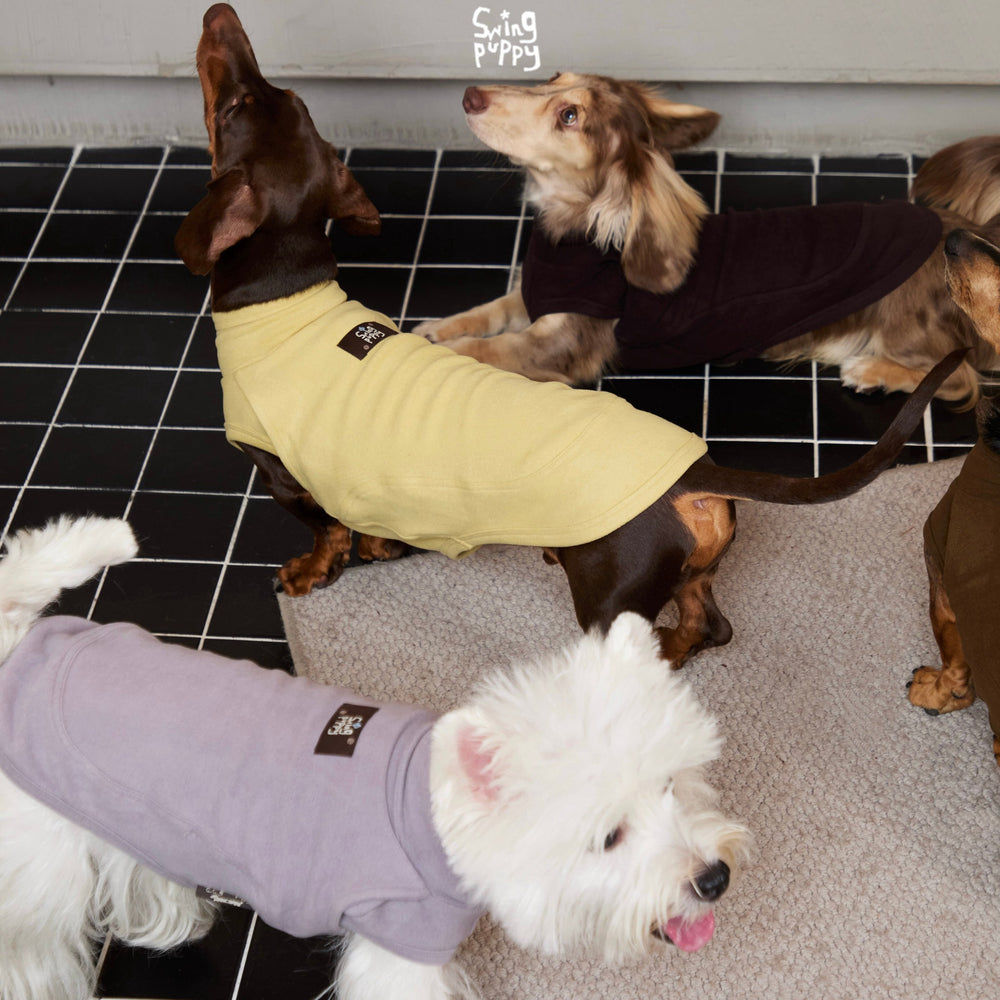 Dogs wearing yellow, lavender and plum sleeveless high-neck tops.