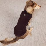 Rear view of a plum high-neck top on a long-haired dachshund.