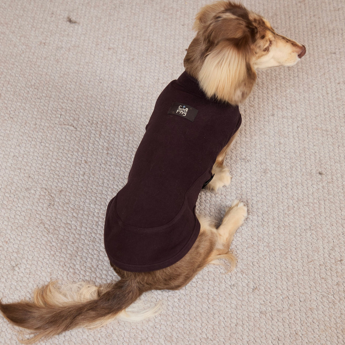 Rear view of a plum high-neck top on a long-haired dachshund.