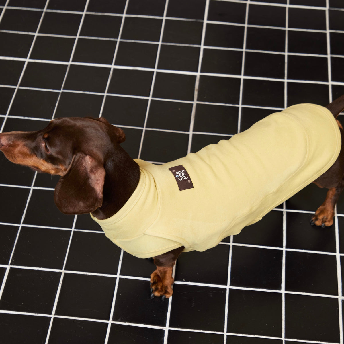 Side view of a yellow sleeveless top on a dachshund.