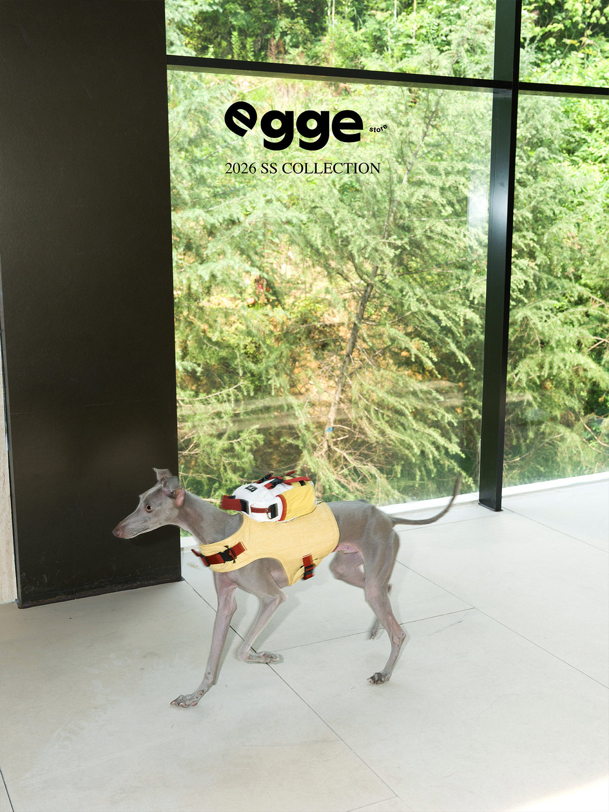 Dog wearing a yellow backpack beside a large window.
