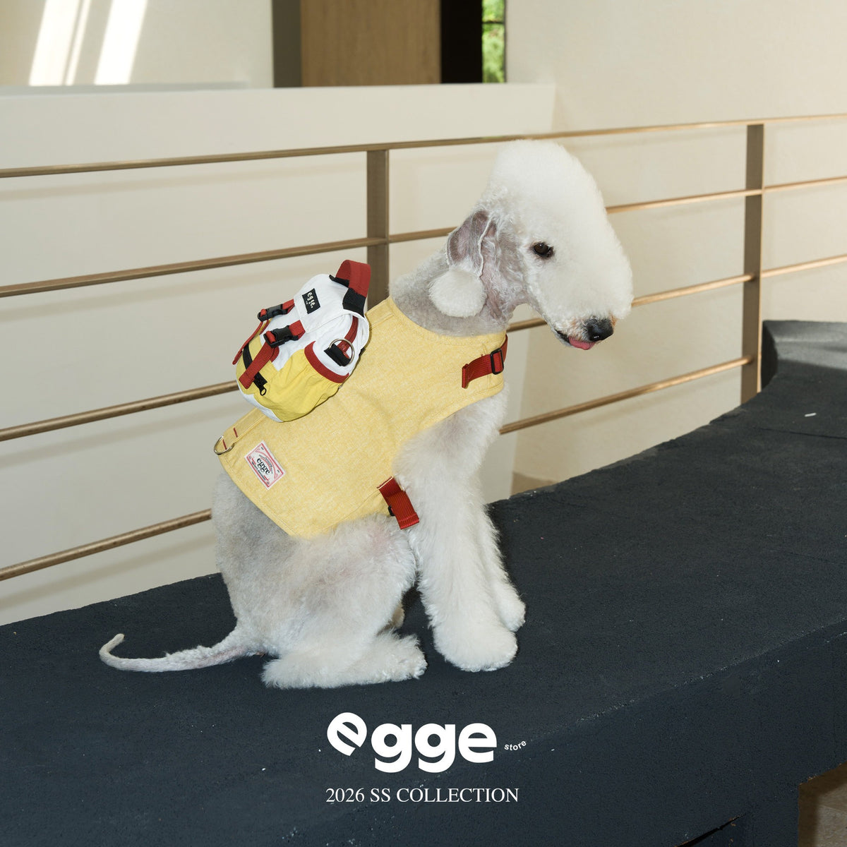 Dog wearing a yellow and white backpack beside a railing.