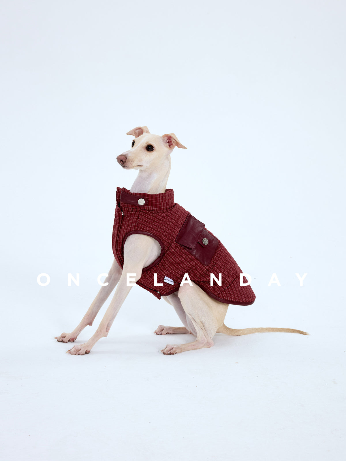 Product photo: Contrast Trek — Warm Padded Dog Vest.