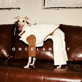Dog wearing a cream padded vest over brown sleeves and cream trousers.