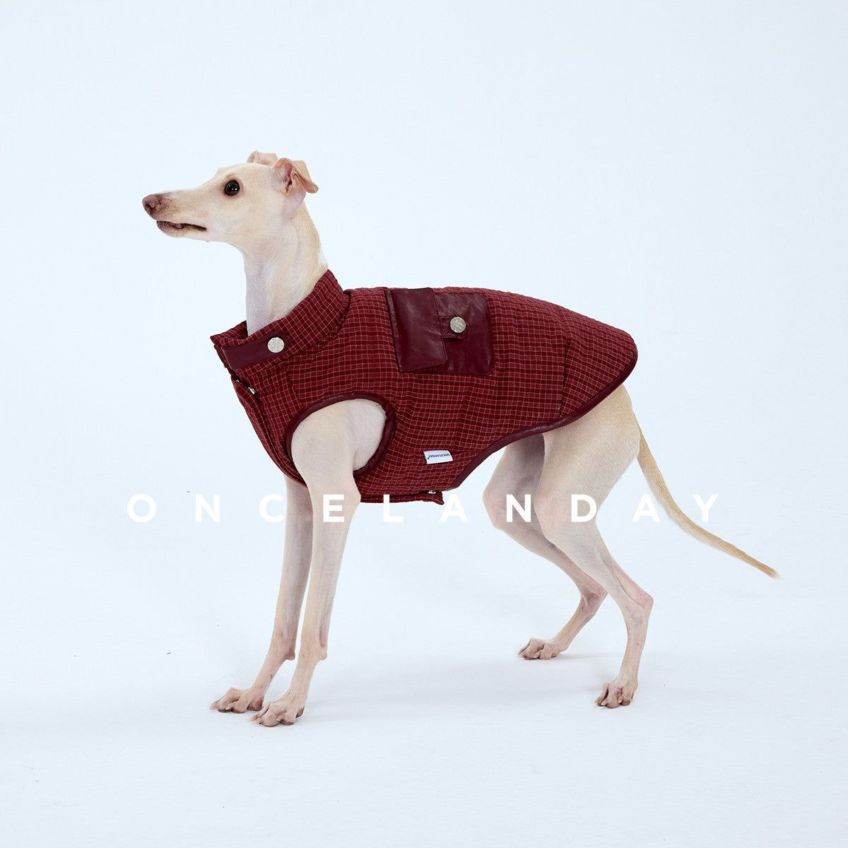 Side view of a burgundy dog vest with a flap pocket.