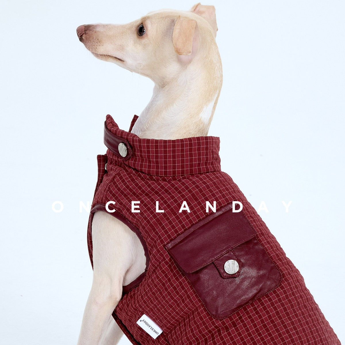 Close-up of a burgundy dog vest with high collar, snap and pocket.