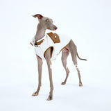 Dog modeling a cream vest with contrasting brown pockets.