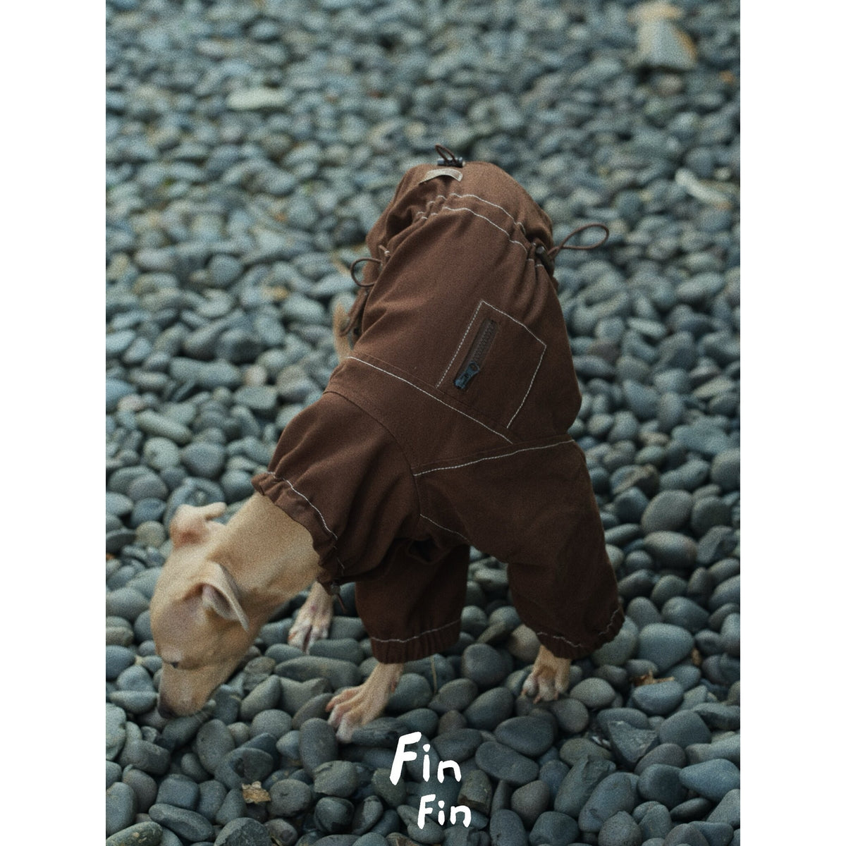 Overhead view of a brown dog utility bodysuit.