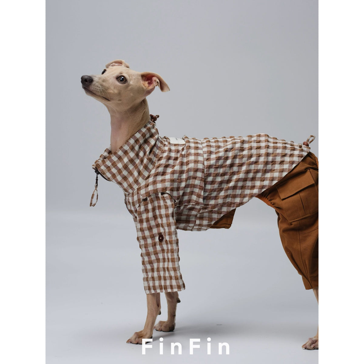 Side view of a dog wearing a check jacket with front sleeves.