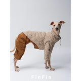 Dog modeling a brown check jacket with brown rear-leg trousers.