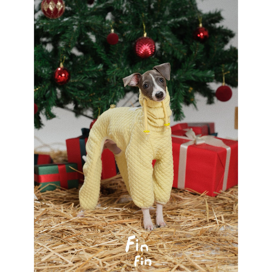 Dog wearing a yellow diamond-pattern bodysuit beside a Christmas tree.