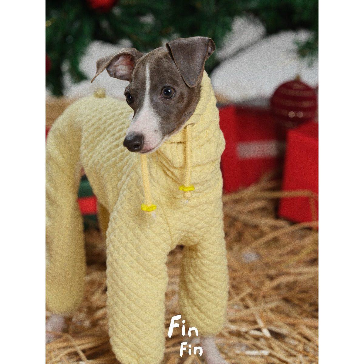 Close-up of a yellow dog bodysuit with a drawstring neckline.