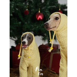 Dogs wearing yellow bodysuits with matching hoods.