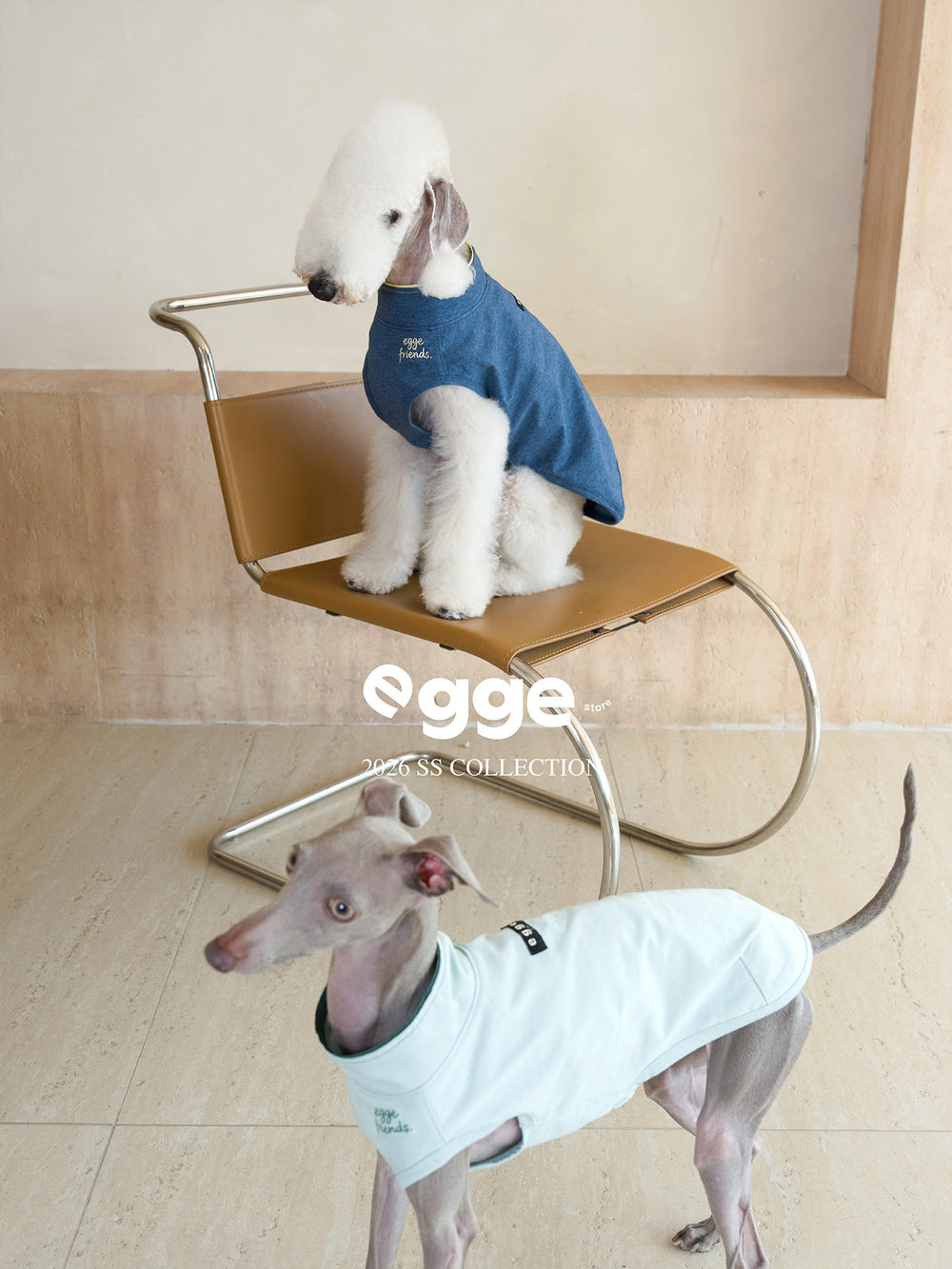Dogs modeling blue and pale green embroidered cotton tanks.