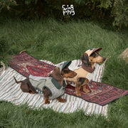 Wanderwild | Embroidered Outdoor Dog Vest