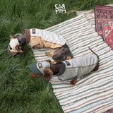Overhead view of tan and olive colorblock dog vests outdoors.
