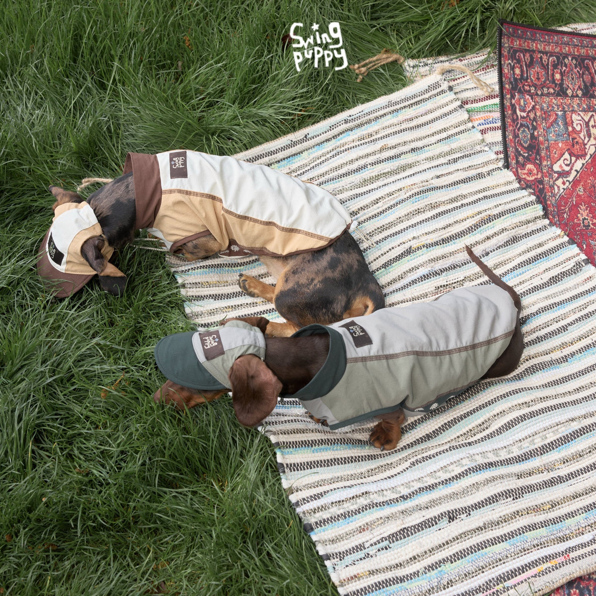 Overhead view of tan and olive colorblock dog vests outdoors.
