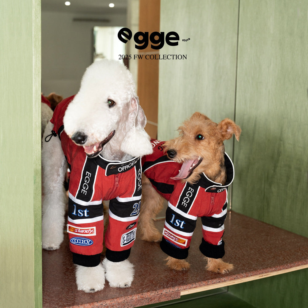 Two dogs wearing red racing jackets with black and white patch details.