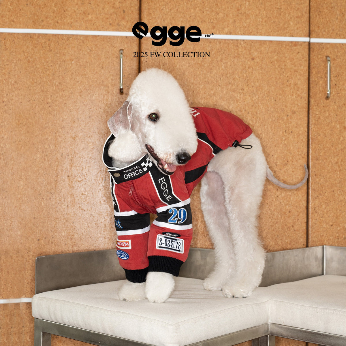 Seated dog wearing a red racing jacket with embroidered patches.
