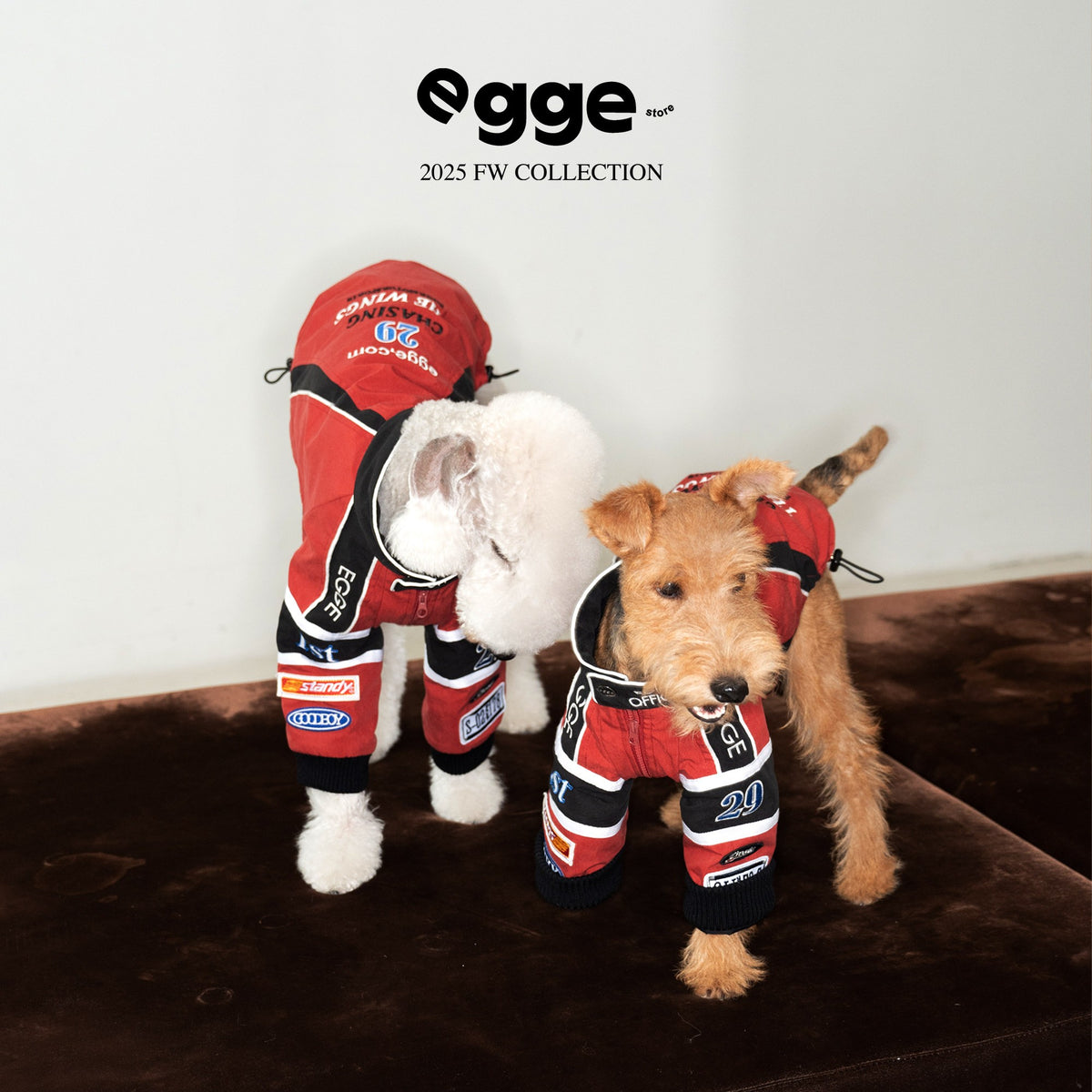 Dogs modeling red and black racing jackets.