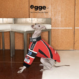 Side view of a dog wearing a red racing jacket.