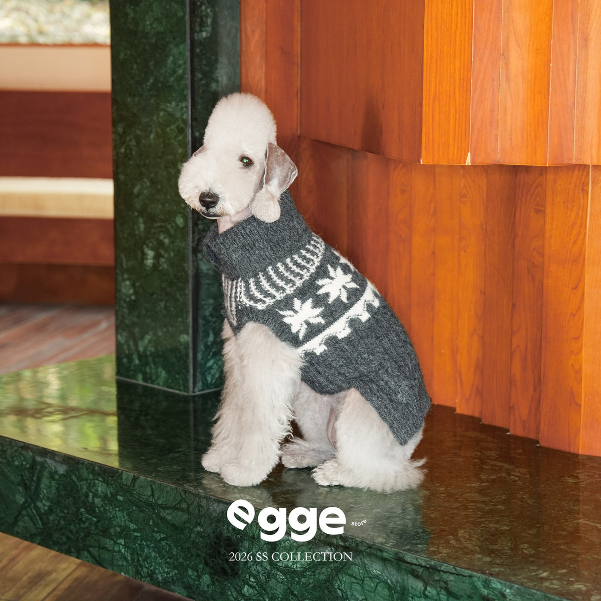 Dog wearing a gray Fair Isle sweater with a fold-down collar.