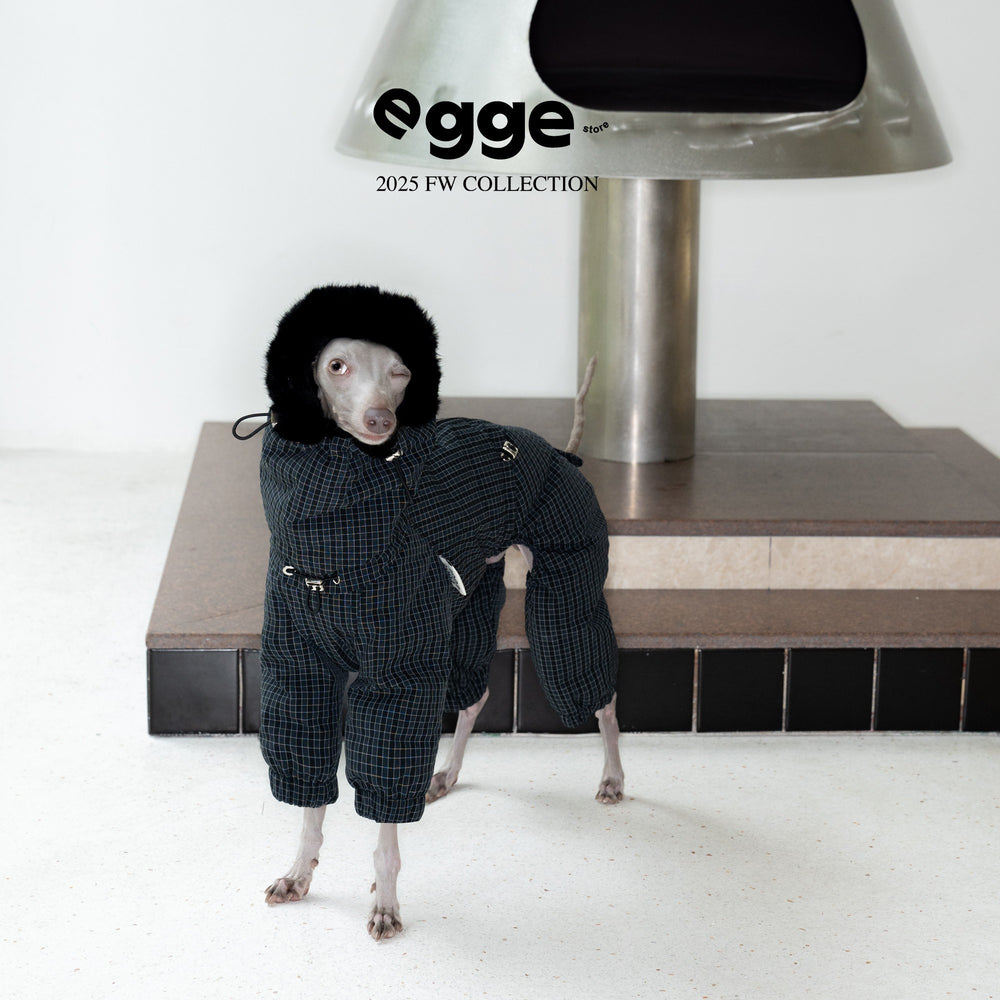 Dog wearing a dark puffer bodysuit with a fluffy hood.
