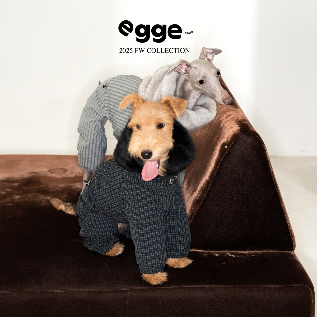 Dogs modeling check puffer bodysuits with contrasting fluffy collars.