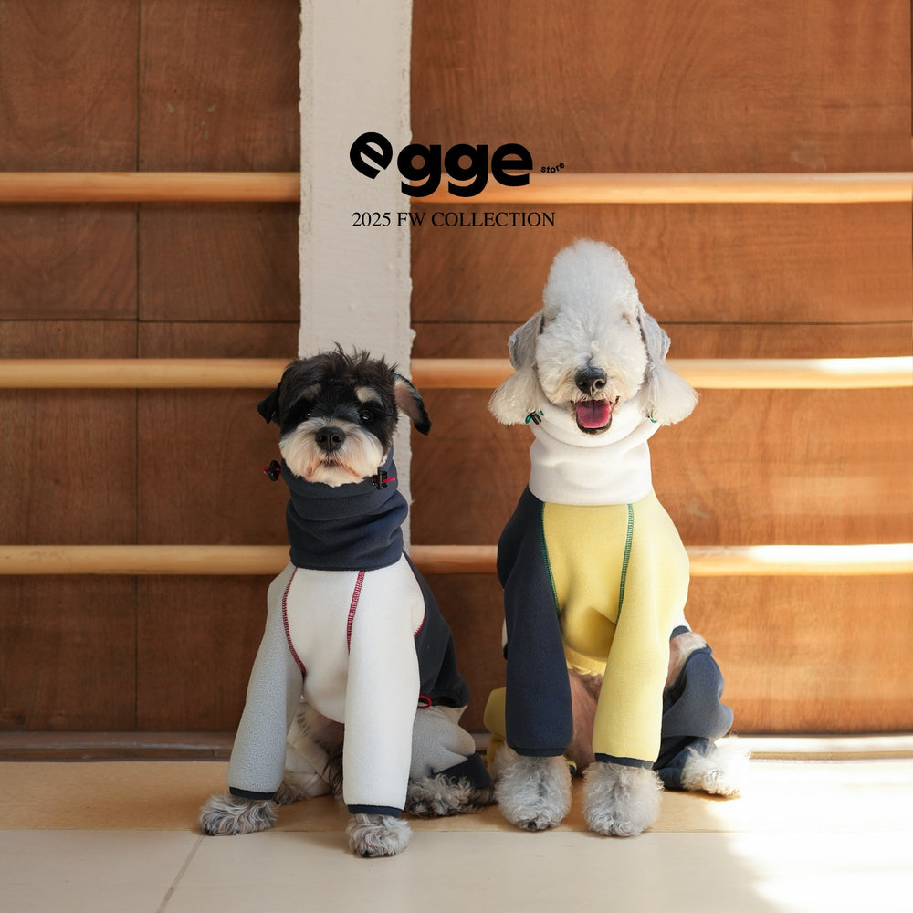 Two dogs wearing navy, cream and yellow colorblock bodysuits.