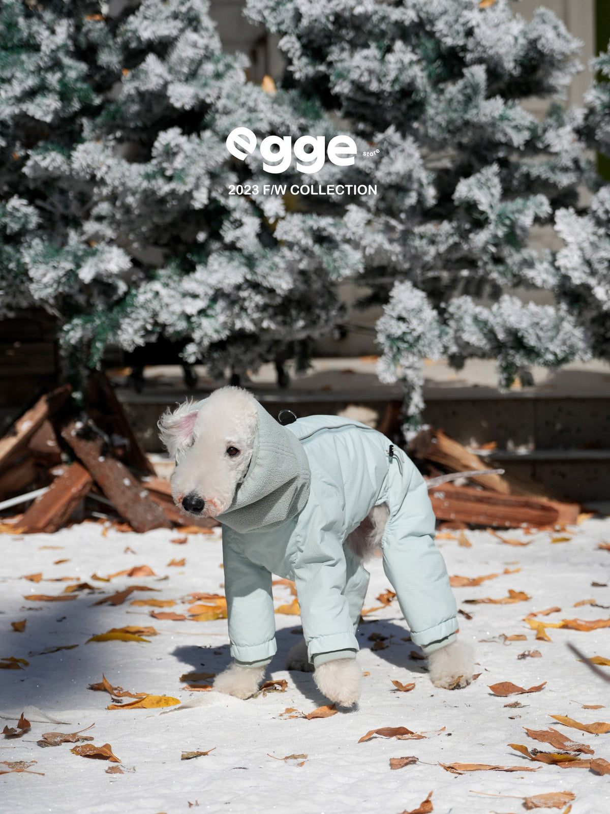Dog wearing a mint hooded puffer bodysuit in the snow.