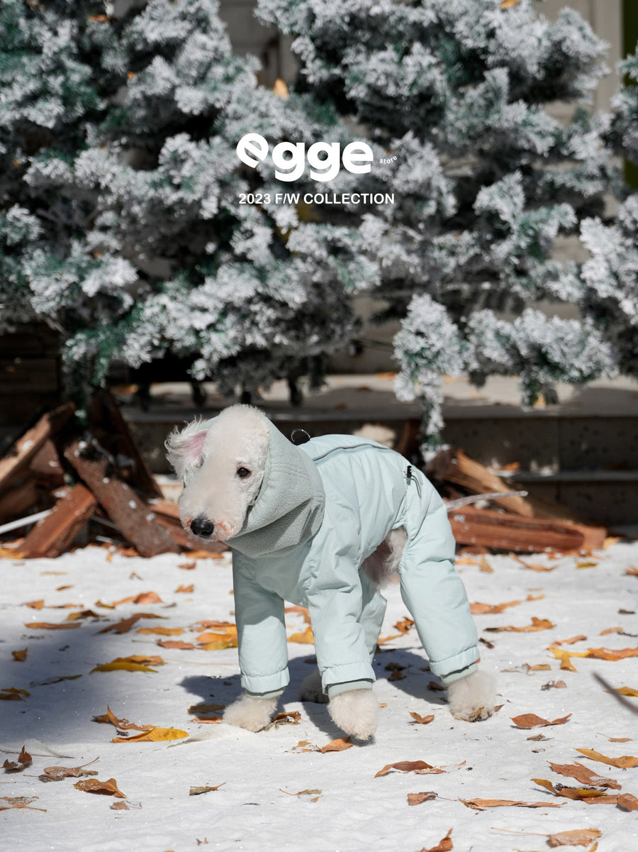 Dog wearing a mint hooded puffer bodysuit in the snow.