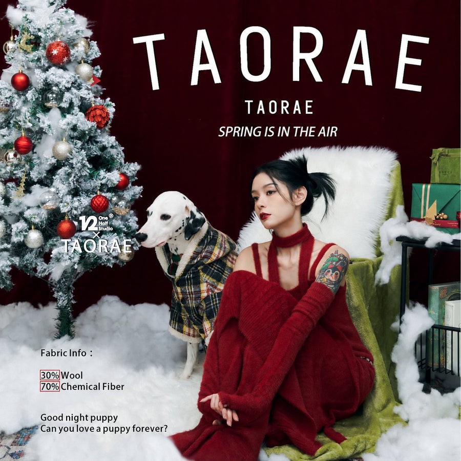 Dalmatian wearing a plaid hooded coat beside a woman and Christmas tree.