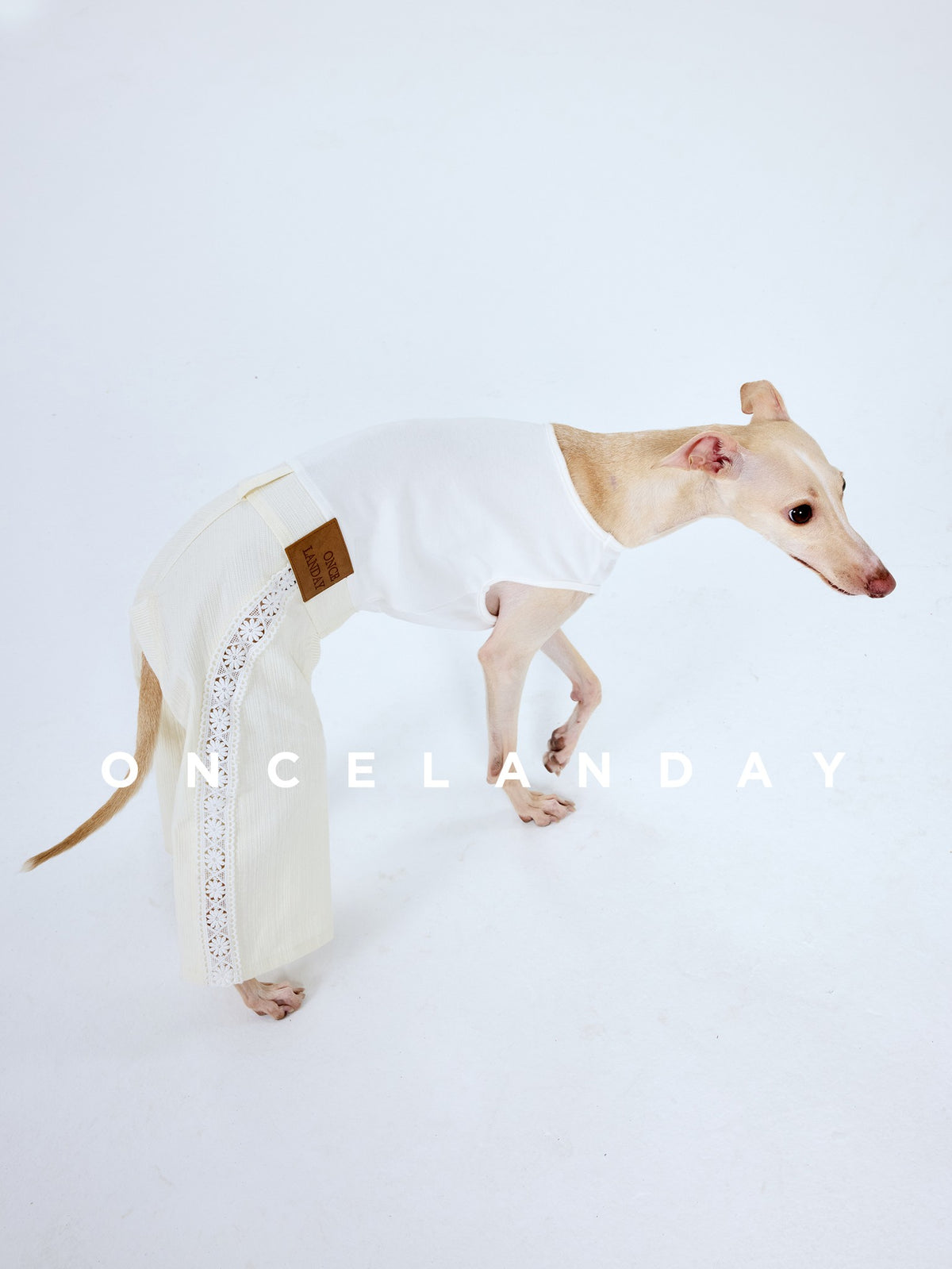 White dog trousers shown from the side as the dog bends forward.