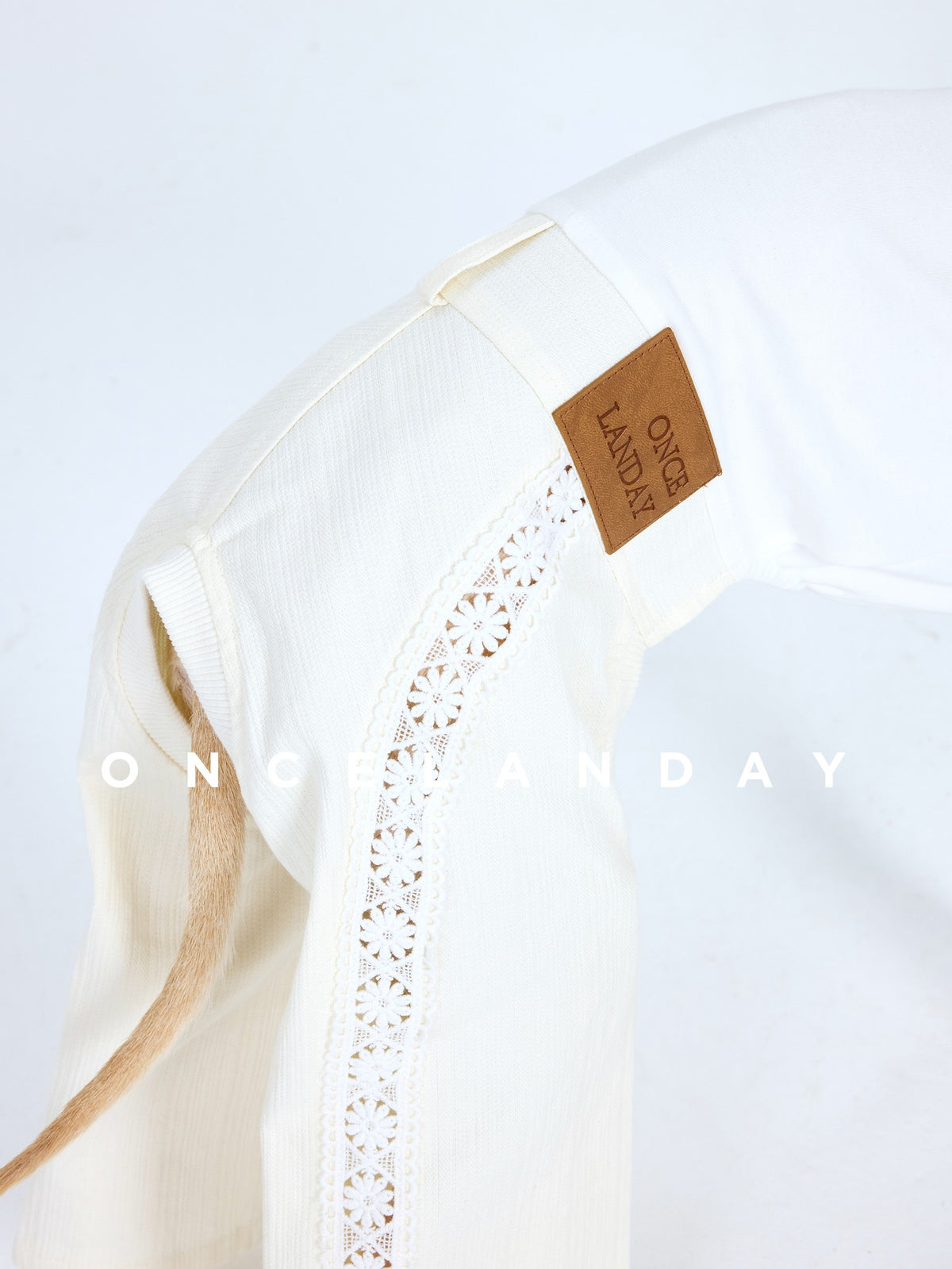Close-up of white dog trousers with a lace-style side panel and waistband label.
