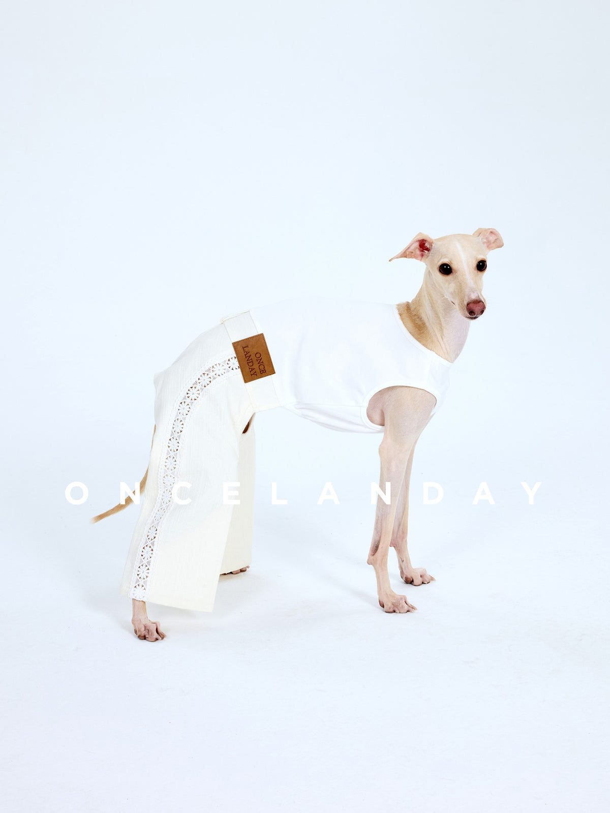 White dog trousers with decorative side trim, modeled from the side.