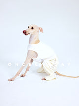 Seated dog wearing white trousers and a white sleeveless top.