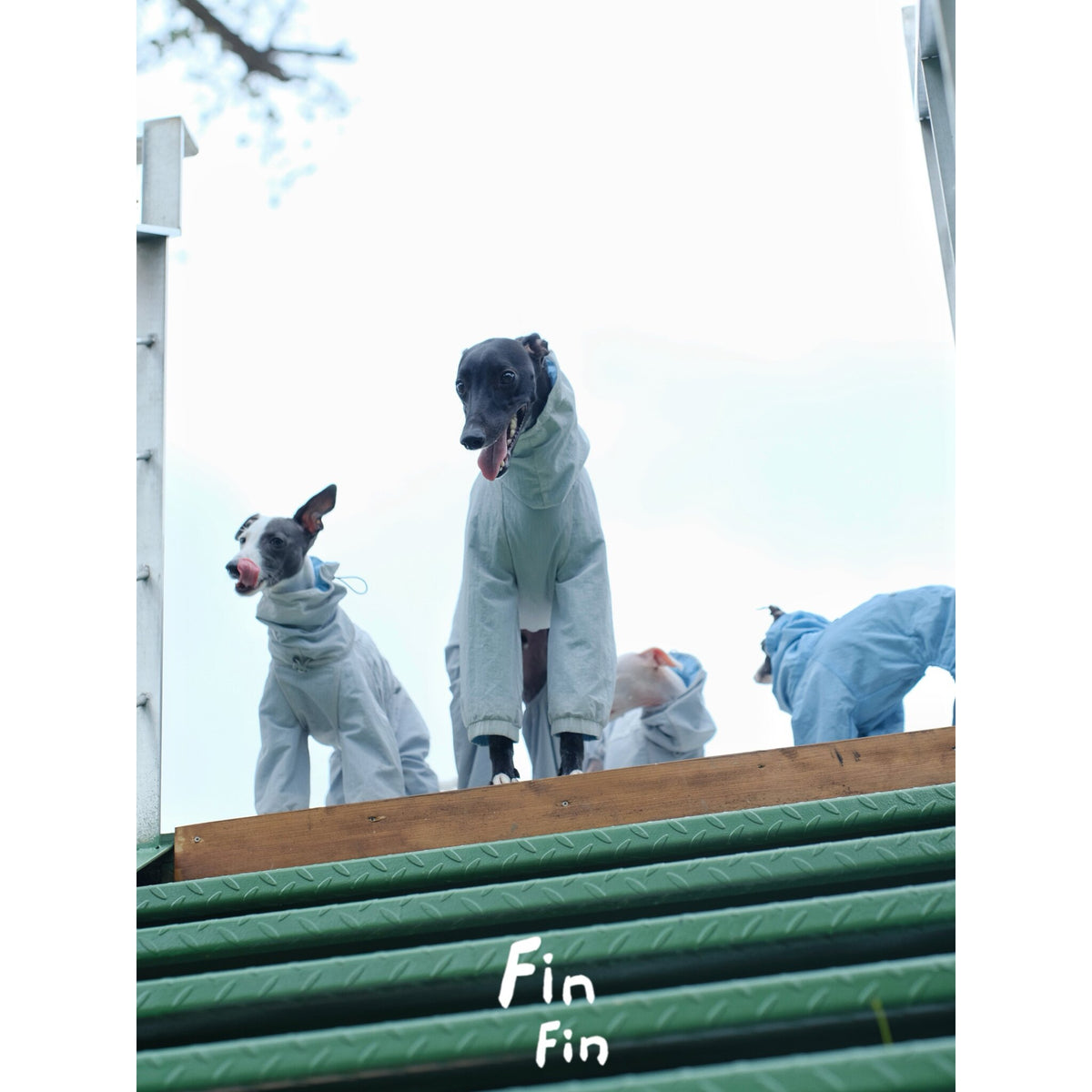 Product photo: Lakeside Reversible — Reversible Water-Resistant Dog Suit.