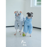 Two dogs wearing gray and blue hooded outdoor bodysuits.
