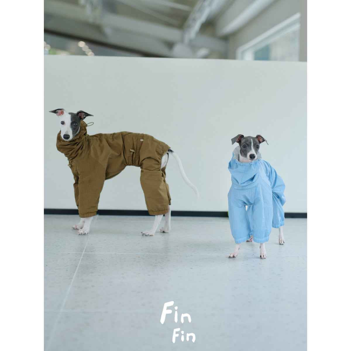 Dogs modeling olive and blue outdoor bodysuits.
