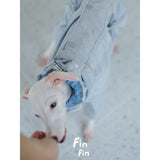Close-up of the hood and back fastenings on a gray dog outdoor bodysuit.
