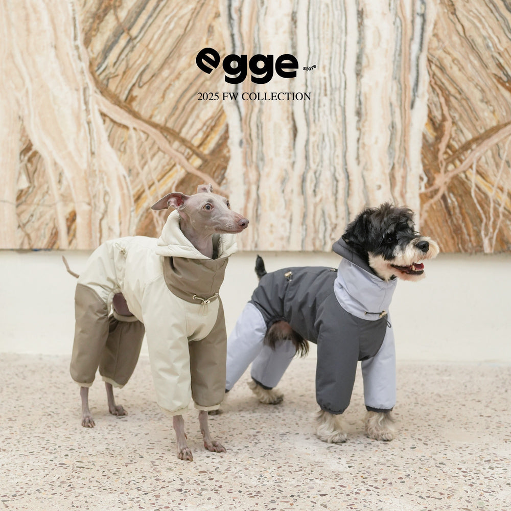 Dogs wearing olive and gray padded four-leg bodysuits.