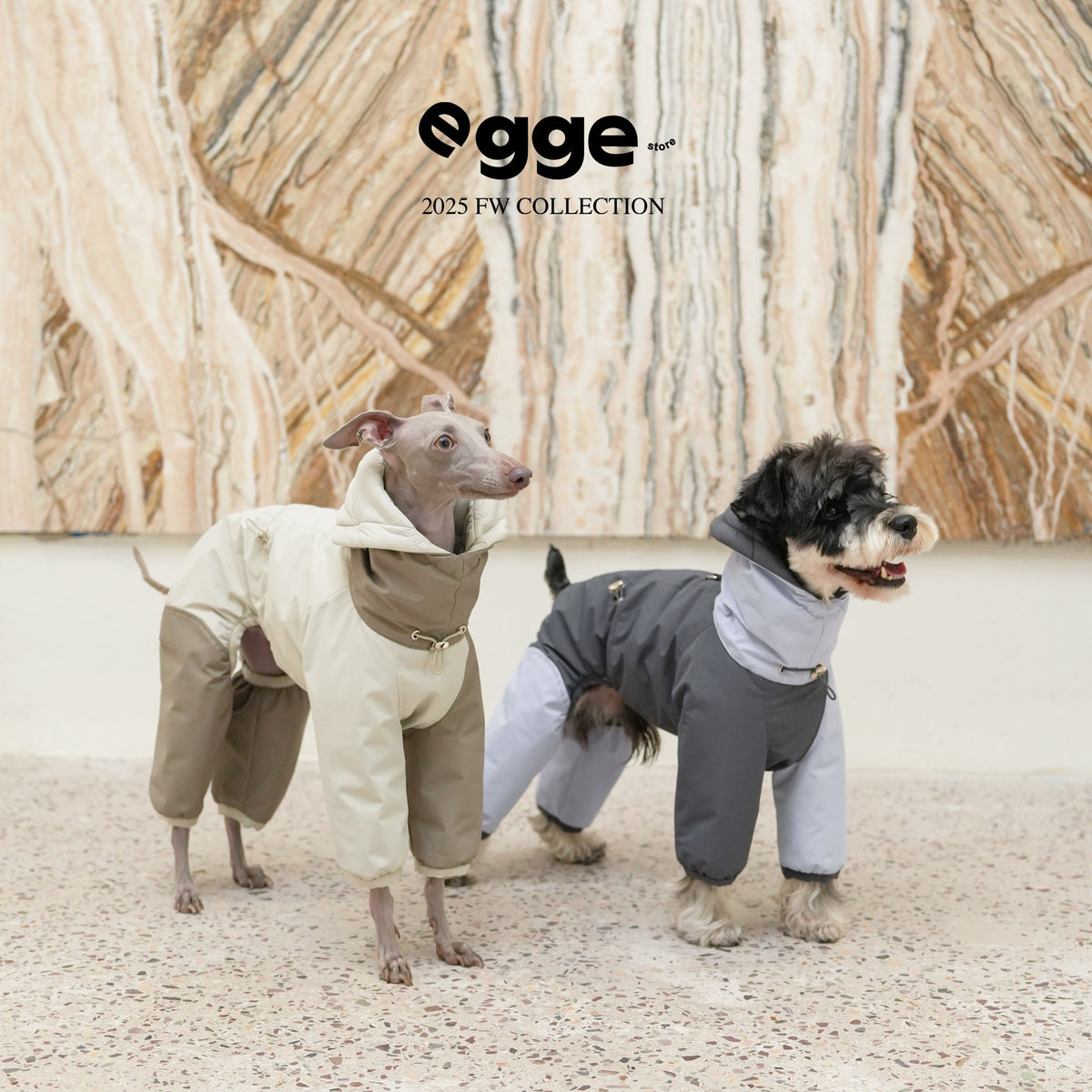 Featherlight Cloud | Lightweight Padded Dog Bodysuit